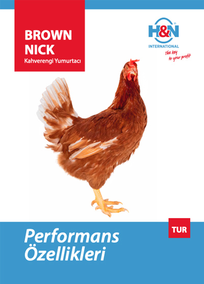 H&N Brown Nick Leaflet - Türkçe