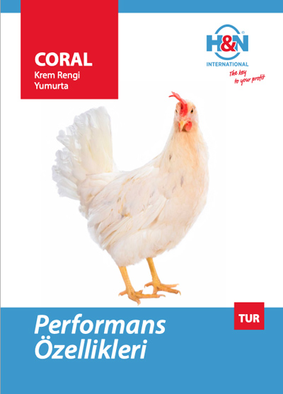H&N Coral Leaflet - Türkçe