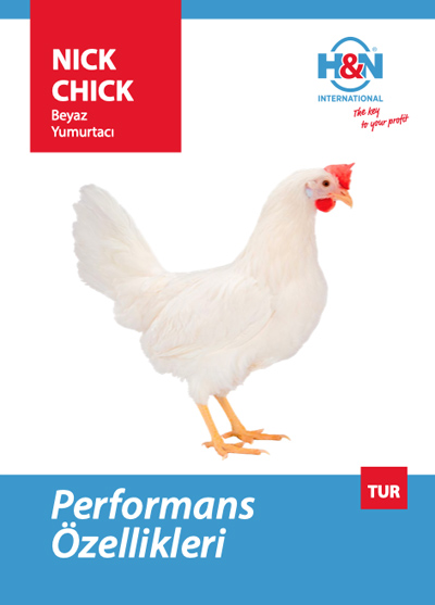 H&N Nick Chick Leaflet - Türkçe