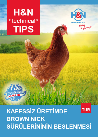 H&N Brown Nick Kafessiz Üretim Beslenme İpuçları - Türkçe