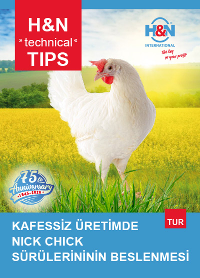 H&N Nick Chick Kafessiz Üretim Beslenme İpuçları - Türkçe